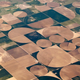 Illustration for article titled Forty Years Ago, Americas Farms Completely Changed Their Shape—And No One Noticed